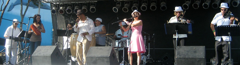 Orquesta Charangoa