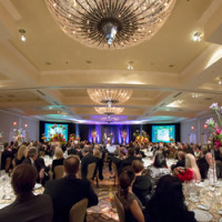 Professional Entertainment Consultation Services