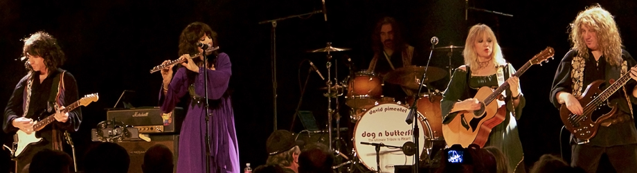 Dog ‘N’ Butterfly